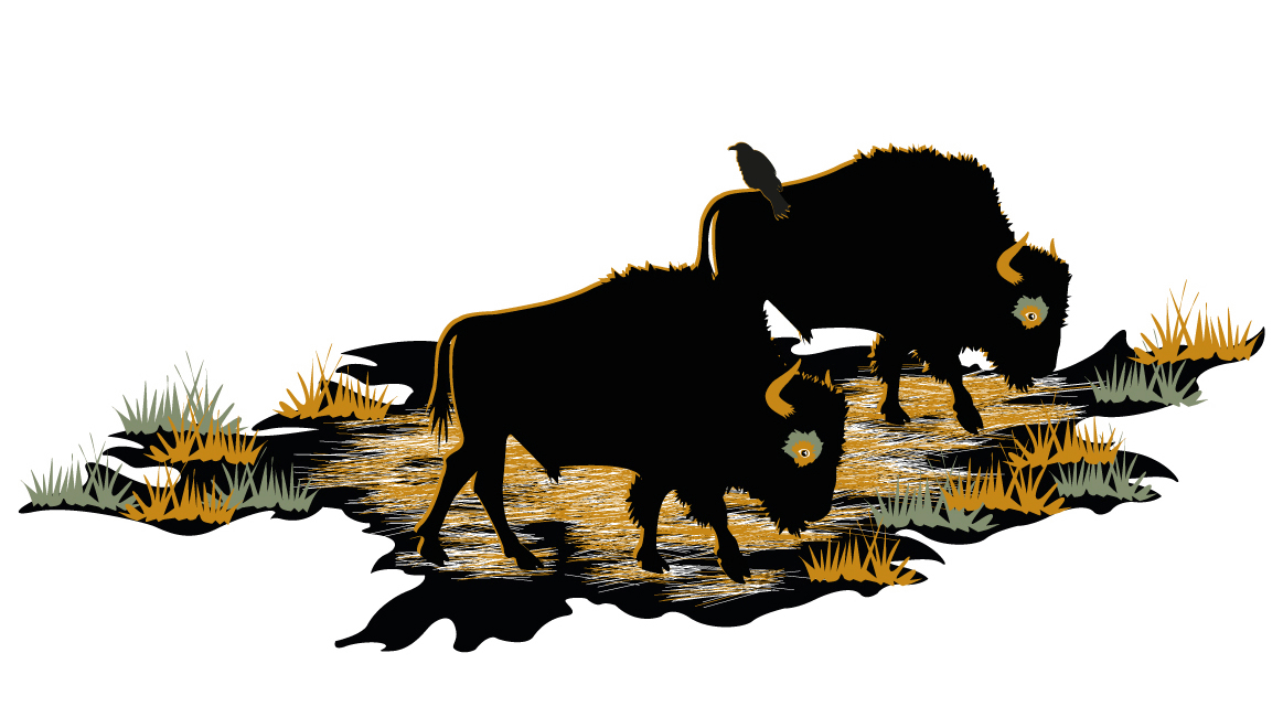 bisonmoon